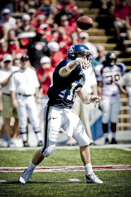 其是球迷的 其是球迷的